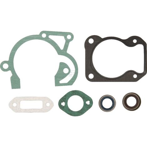 Kit de guarnición desbrozadora motosierra sopladora STIHL 42500071600 TS480i