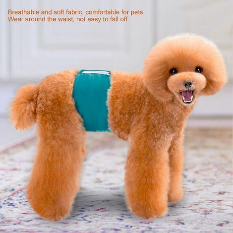 Pantalon de sécurité anti-harcèlement pour chien et chiot (vert, taille M) (1/2)