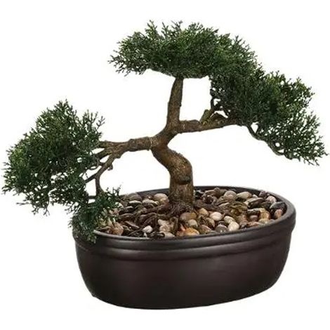 Albero bonsai in vaso nero da 23 cm (1/5)