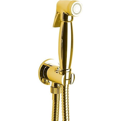 Douchette pour bidet, classique, flexible et support de douchette avec raccord de douche, or (1/2)