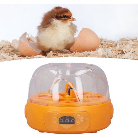 Mini incubadora automática con volteador de huevos para 6 huevos (de gallina, pato o codorniz), 100–240 V (enchufe británico), color amarillo. (1/5)