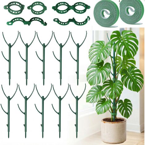 Lot de 10 tuteurs pour plantes Monstera - Empilables, pour le jardin extérieur, avec ruban adhésif et clips, adaptés aux plantes grimpantes (1/5)