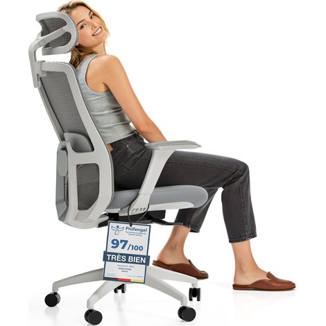 Desktronic Chaise de Bureau Ergonomique réglable SitOne - Gris