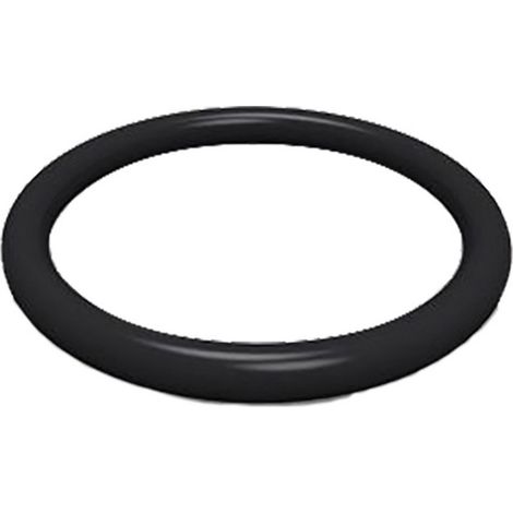 1PZ O-RING PER NIPLES M20 x 2