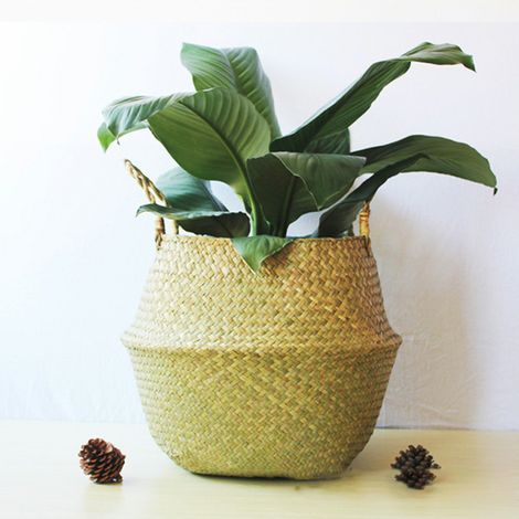 Panier tressé en seagrass pour fleurs, pot décoratif en osier, corbeille de rangement pour plantes sur bureau