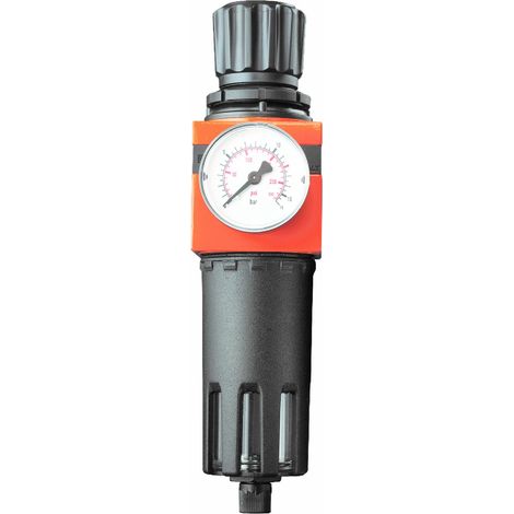 Filtro regolatore 1/4" (1/2)