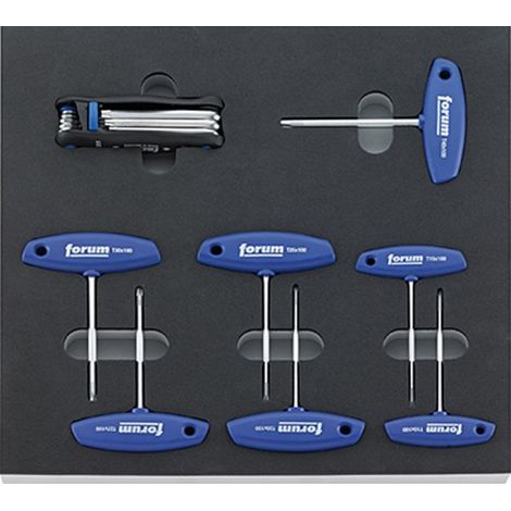 Tooling Modulo Con La Chiave A Brugola Cacciavite, Tipo: Torx®, Size 2/3
