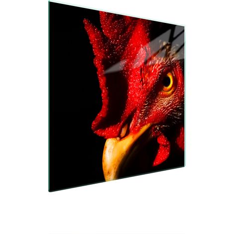 PLACA PROTECTORA DE VIDRIO PARA ESTUFA 50x52 GALLO (1/5)