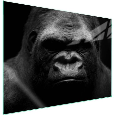 Protection de plaque de cuisson en verre Gorilla 70x52 (1/5)