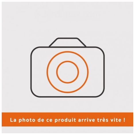 Courroie PUBERT 0306030083