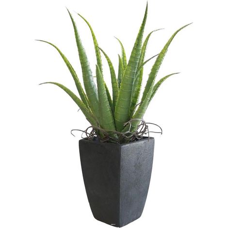 Agave Succulente plante artificielle cactée en pot H 36 cm Vert Type B - couleur: Vert - div: B