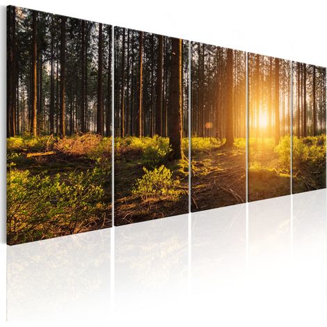 Quadro - Summer Morning - 225x90 (1/4)