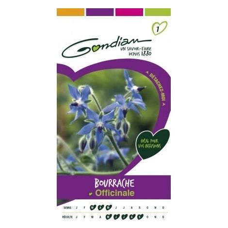 Gondian - Bourrache Officinale Bleu