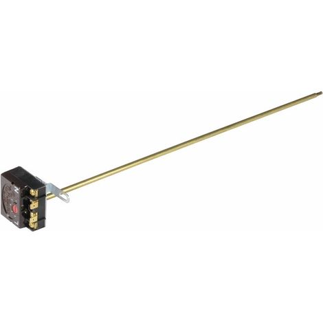 Termostato ad asta l 450