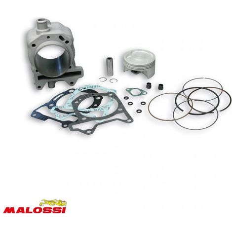 zylinder malossi für motorroller piaggio 125 beverly 2009 3113955