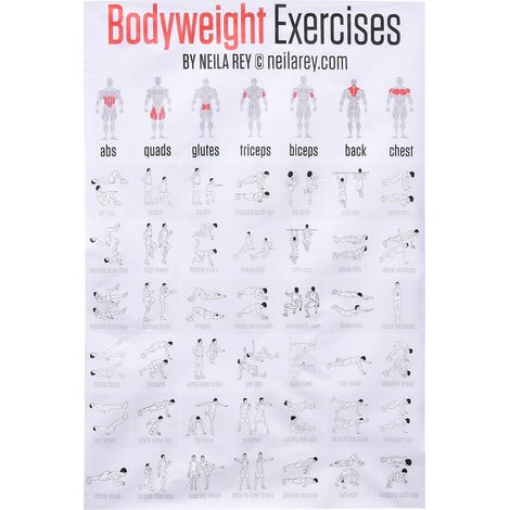 Illustriertes Anatomieposter – Detailliertes Modell des menschlichen Körpers, 45 x 68 cm – 80 g Leinwand, mehrfarbig, beschriftete Systeme (1/5)