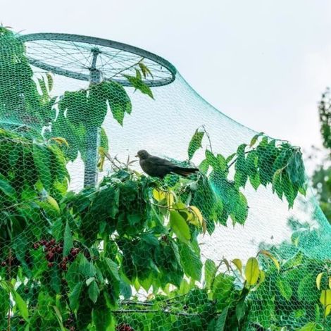 LEU Anti-oiseaux Filet de volière Maille 410M Protection pour Plante Légume Fruit Étang Jardin (1/4)