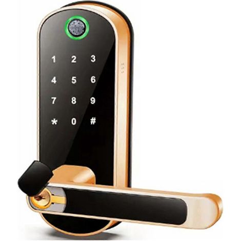 Tuya Smart-Türschloss mit Fingerabdrucksensor, Fernbedienung per App und schlüssellosem Zugang, Goldfarben (1/5)