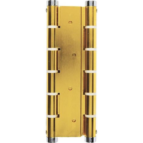 BYP bisagra doble accion vaiven u5914 oro medidas 180x133x4mm. (1/2)