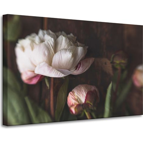 Lienzo impreso Botánica Flor Peonías 90x60 cm Ramo de flores Flora