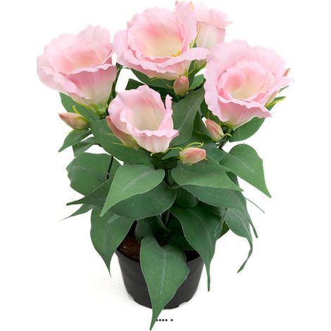 Eustoma artificiel en pot, 4 têtes de fleurs, H 30 cm Rose pâle - couleur: Rose pâle