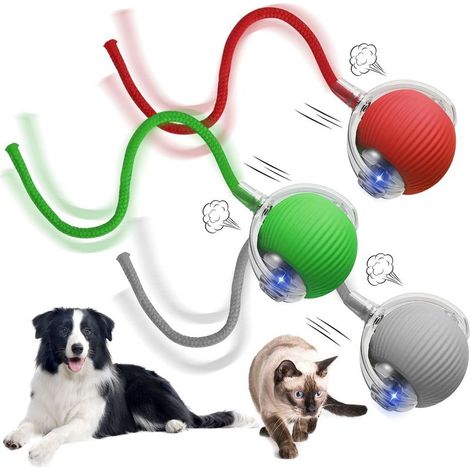 Balle interactive pour chien et chat – Jouet à rouler en silicone écologique – Change de direction – 6 x 6 x 20 cm (1/5)