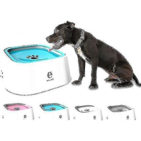 Fontaine à eau pour animaux, gamelle pour chien, anti-éclaboussures, peut contenir de l'eau (1/5)