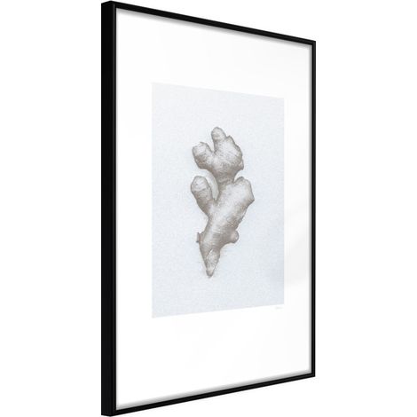 Affiche Murale Encadrée "Ginger Rhizome" 30 x 42 cm Noir