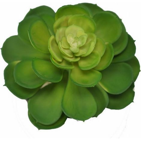 Succulent Artificiel - Plante Grasse Fausse en PVC - Décoration Intérieure Bureau Maison Événements - 1 Pièce (1/5)