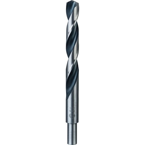 Bosch PointTeQ Trapano elicoidale 16 mm argentato
