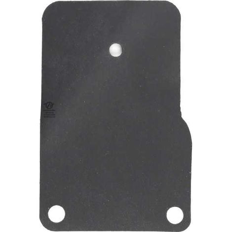 Membrane carburateur en kit pour Briggs & Stratton 270989 (1/2)