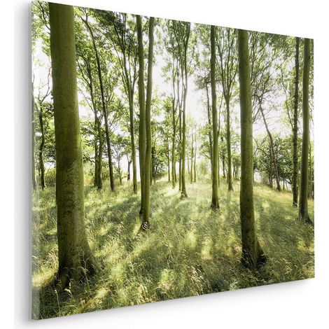 Komar Canvasbild Dänische Buchen - 60 x 90 cm - Bild auf Keilrahmen - Naturmotiv (1/2)