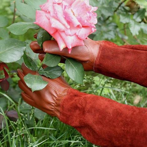 Gants RONCIER - Paire de Gants de Jardinage - Protection Cuir - Gants de Jardinage pour les Épines et Ronces et Gants de Travail--Marron--M (1/3)