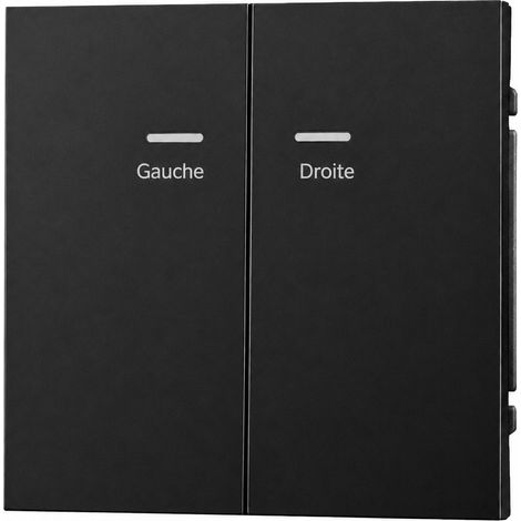 Interrupteur bouton-poussoir 2 gangs avec LED noir au toucher doux (soft-touch) série Z PC 13 × 9 × 10 cm – Livraison gratuite