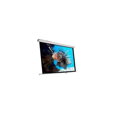 Pantalla de Proyección PHOENIX TECHNOLOGIES PHPANTALLA-300 3,43 m