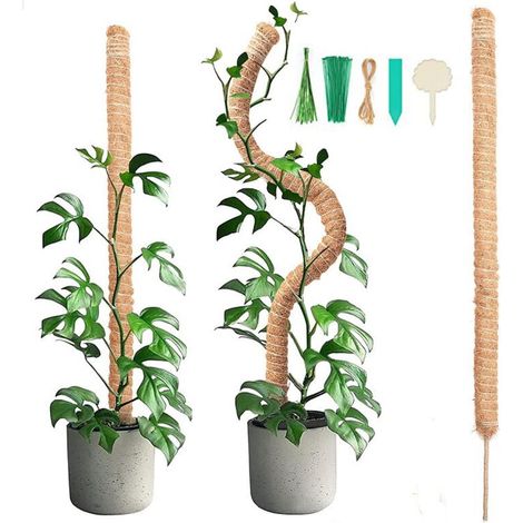Stück 90 cm biegbarer Moosstab mit 2 Stück 2 m langem Hanfseil, Kokospalmenstab für Pflanzen, Kletterhilfe für Schlingpflanzen, Pflanzenstütze für den Garten (1/5)