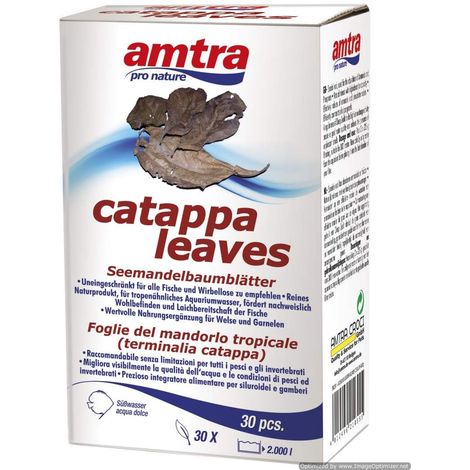 Set 6 pezzi Amtra Catappa Leaves 30 Pz Biocondizionatore acquario in foglie di Mandorlo Indiano ideali per acquari con gamberetti