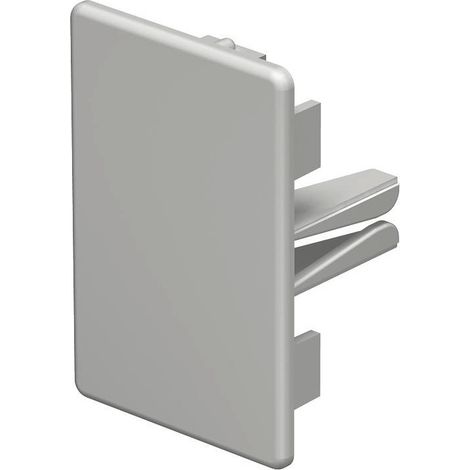 OBO Bettermann Tapa final 40x60mm policloruro de vinilo gris claro RAL 7035, 6183735