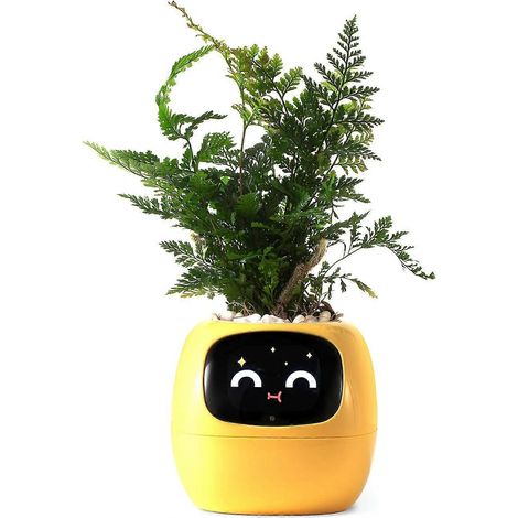 Ivy compagnon de bureau interactif IA plante intelligente 100+ expressions pot fleurs intérieur déco bureau cadeau amateurs plantes jaune (1/5)
