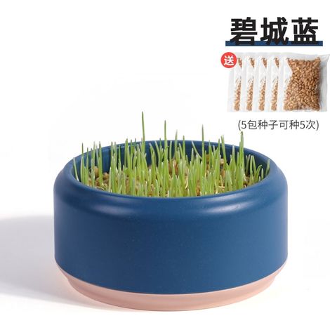 Boite De Culture Hydroponique - Catnip - Pour Chats - Sans Terre - 14 X 14 X 6,5 Cm - 1 Pièce (1/5)