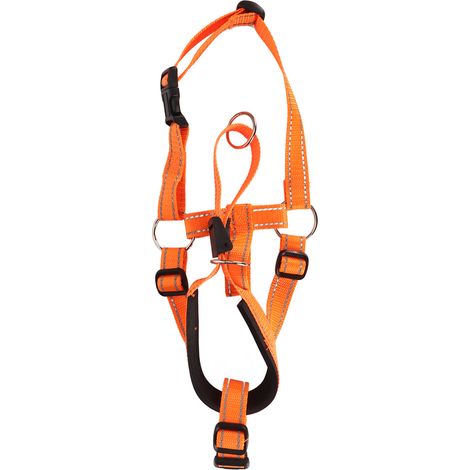 Collier de tête pour chien, muselière réglable pour éviter les morsures et les aboiements, protège-dents en nylon respirant pour l'entraînement à la marche, Orange M (1/5)