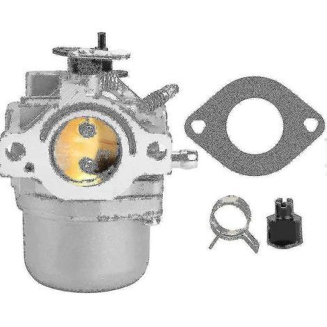 Ersatzteile für Gartenmotorvergaser, kompatibel mit Briggs & Stratton 799728 498027 12 PS 12,5 PS - SSXJV (1/3)