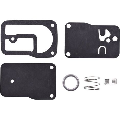 für Kraftstoffpumpen Reparatursätze, kompatibel mit Briggs & Stratton 393397 401400. (1/4)