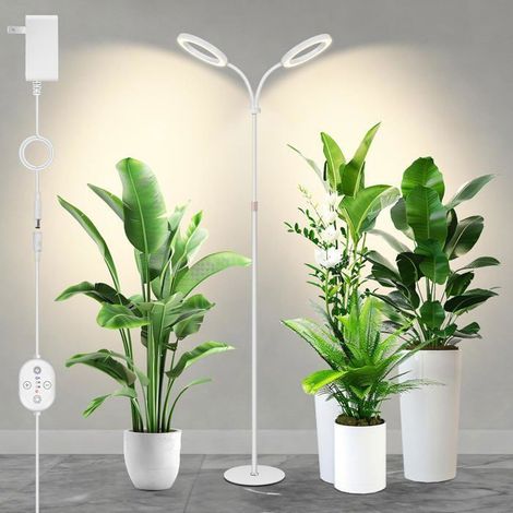 Grande lampe horticole 12V pour plantes d'intérieur, spectre complet renforcé 660 nm,2×16 cm lampes avec minuterie & gradation (1/5)