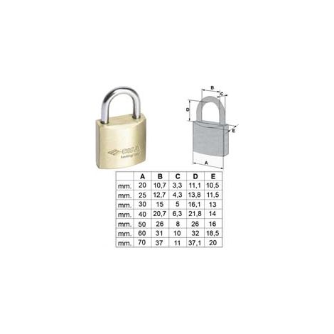 LUCCHETTO LOCKING LINE ARCO NORMALE 20010- - mm.25 (art.20010250) - 12 pezzi CISA