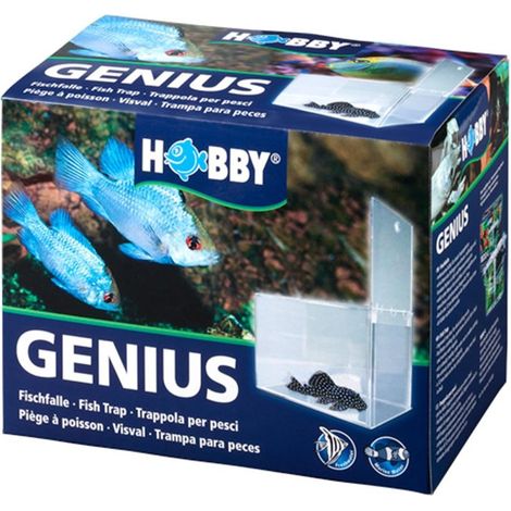 Hobby Genius 61340 - Trappola per pesci, 21 x 13 x 15 cm