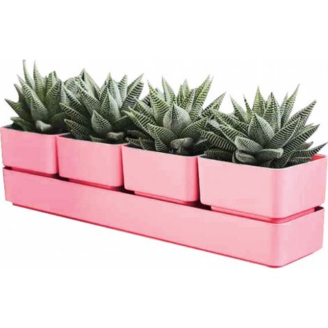 Fioriera Vaso Modello Sierra 38cm Corallo Elegante per Piccole Piante 4 Vasi