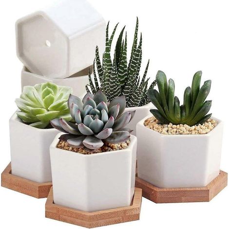Sukkulenten-, Kakteen- und Mini-Blumentöpfe, Keramik-Untersetzer aus Bambus, 6 cm, weiß, 7-teiliges Set (1/5)