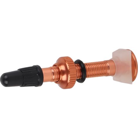 Prolongateur de Valve pour VTT et Vélo Route, Adaptateur Tige de Valve Tubeless (1/5)