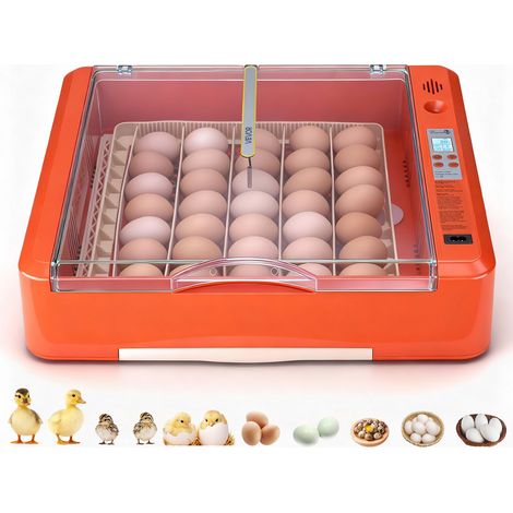 Couveuse Œuf Automatique 36 Œufs de Poule Incubateur Œuf pour Éclosion Œufs de Volaille Poussins Canetons Oies Cailles, Mire LED Bac à Eau Contrôle Température Humidité Fenêtre Transparente 360° (1/5)